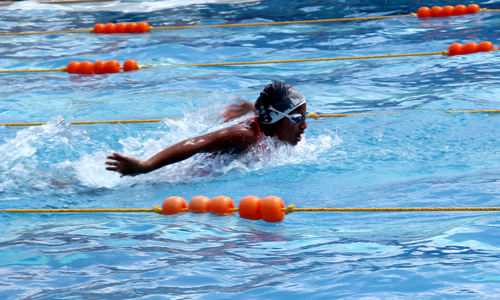 swimming-pool